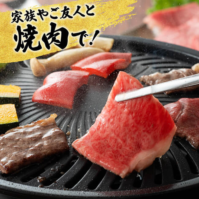 【4ヶ月定期便】宮崎牛赤身定期便B【肉 牛肉 国産 宮崎県産 宮崎牛 すき焼き しゃぶしゃぶ 焼きしゃぶ モモ ウデ 】