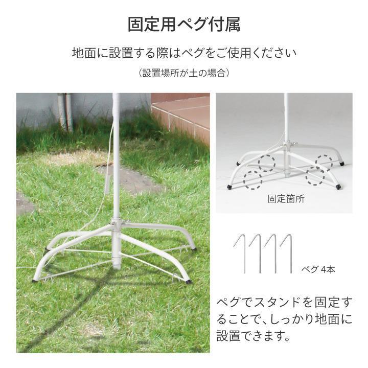79913800 彩プレミアム TOKKAツリー S