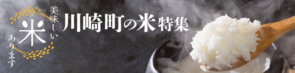 選べる! 創業49年の歴史ある味 「とり幸SHOP」 から揚げ用味付け鶏もも肉 500g |からあげ 唐揚げ 鶏肉 とり肉 鳥肉 肉 鶏 もも肉 もも モモ ジューシー サクサク 冷蔵 揚げるだけ 簡単 便利 惣菜 お弁当 Fried chicken chiken karaage 福岡県 川崎町 ふるさと納税