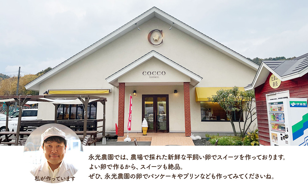 永光農園の平飼い有精卵 75個+割れ保証5個