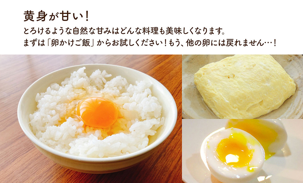 永光農園の平飼い有精卵 75個+割れ保証5個