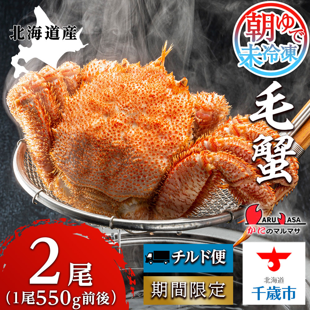 北海道産【朝ゆで】毛ガニ(550g前後)2尾 期間限定!≪かにのマルマサ≫ かに 毛がに カニ 千歳 北海道 海鮮
