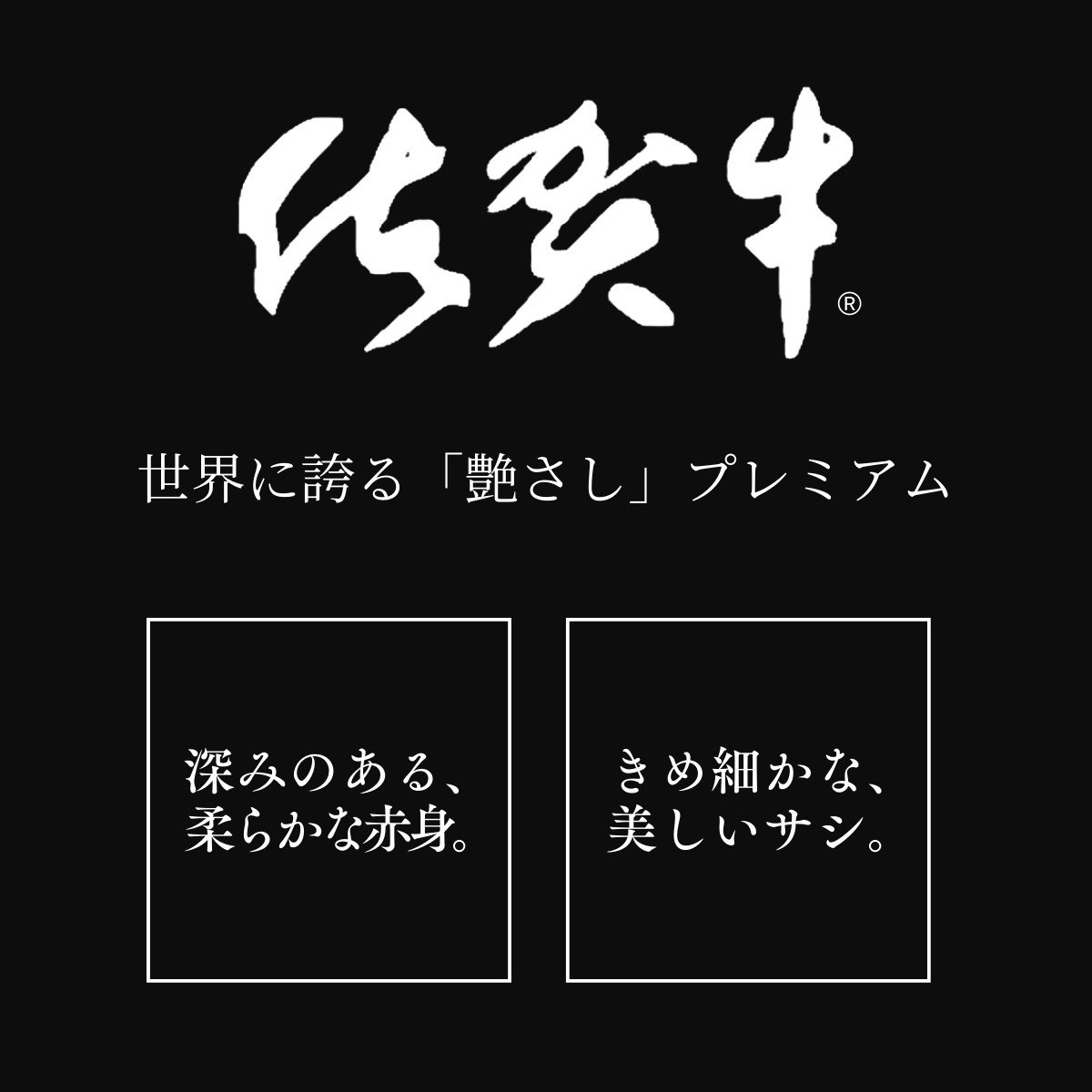 厳選!佐賀牛 赤身 定期便 全4回 モモ カタ スライス 焼き肉 ステーキ 煮込み料理 N130-2