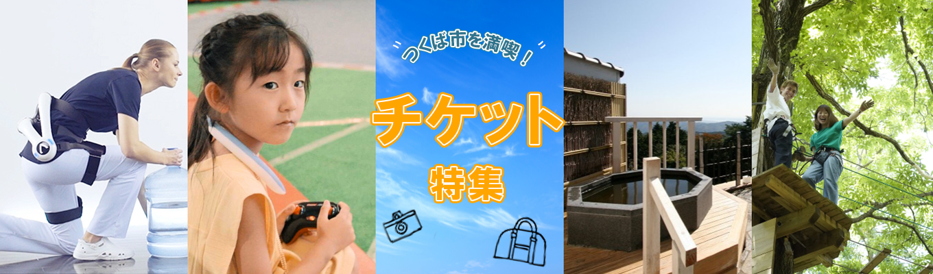 つくば人気カフェのラザニア 8個セット ( 4種 × 2個 )【 茨城県 つくば市 冷凍 本格 ラザニア イタリアン パスタ シェフ パスタ ボロネーゼ ベシャメルソース バジルソース ヴィーガン チーズ 】