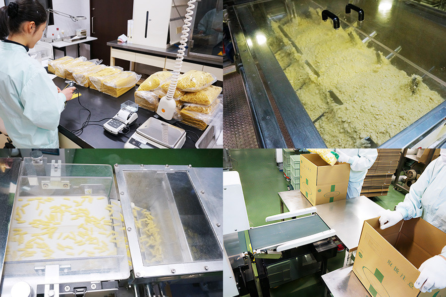 パスタ2種セット合計6kg (スパゲッティ2種×4袋)｜大容量 コルノマカロニー スパゲティ スパゲッティ パスタ 乾麺 麺 備蓄 保存食 国内製造 デュラムセモリナ [0217]