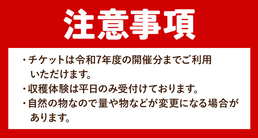 収穫体験 チケット さつまいも掘り 約1kgお持ち帰り 有限会社水野果樹園《90日以内に出荷予定(土日祝除く)》千葉県 流山市 収穫 体験 サツマイモ 体験 野菜