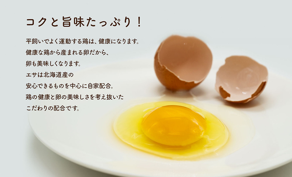 永光農園の平飼い有精卵 15個+割れ保証5個