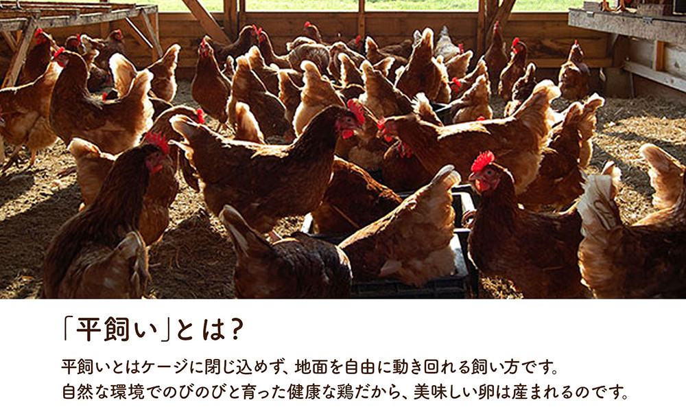 永光農園の平飼い有精卵 35個+割れ保証5個
