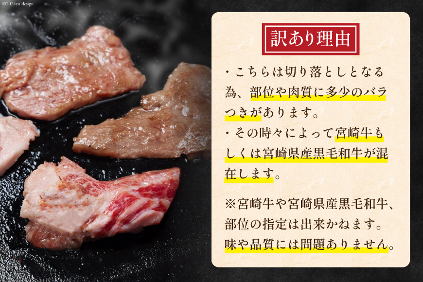牛肉 訳あり 宮崎県産黒毛和牛 焼き肉用切り落とし 500g[ウィズ・クリエイティブ 宮崎県 日向市 452061559] 冷凍 数量限定 不揃い 牛 和牛 黒毛和牛 切り落とし