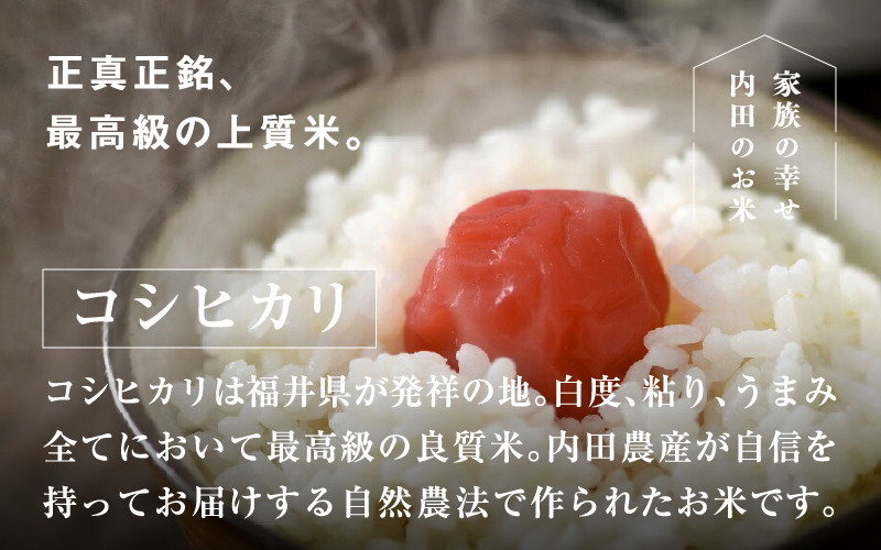 【令和7年産】福井県産 おしどり米 コシヒカリ 5kg [B-00549] / こしひかり 白米 精米 ご飯 コメ ごはん ライス 産地直送 鯖江市