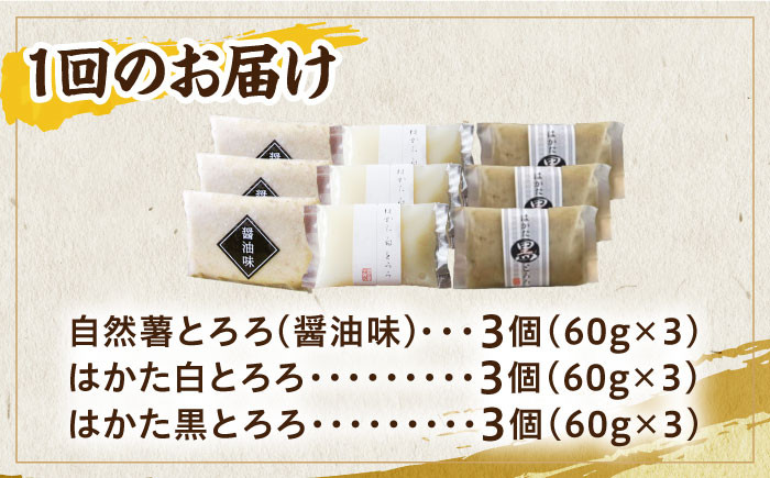 【全6回定期便】那珂川産 自然薯 とろろ 味くらべセット 計9個（3種類×3個）＜自然薯王国＞那珂川市 自然薯とろろ とろろ 自然薯 [GAH013]