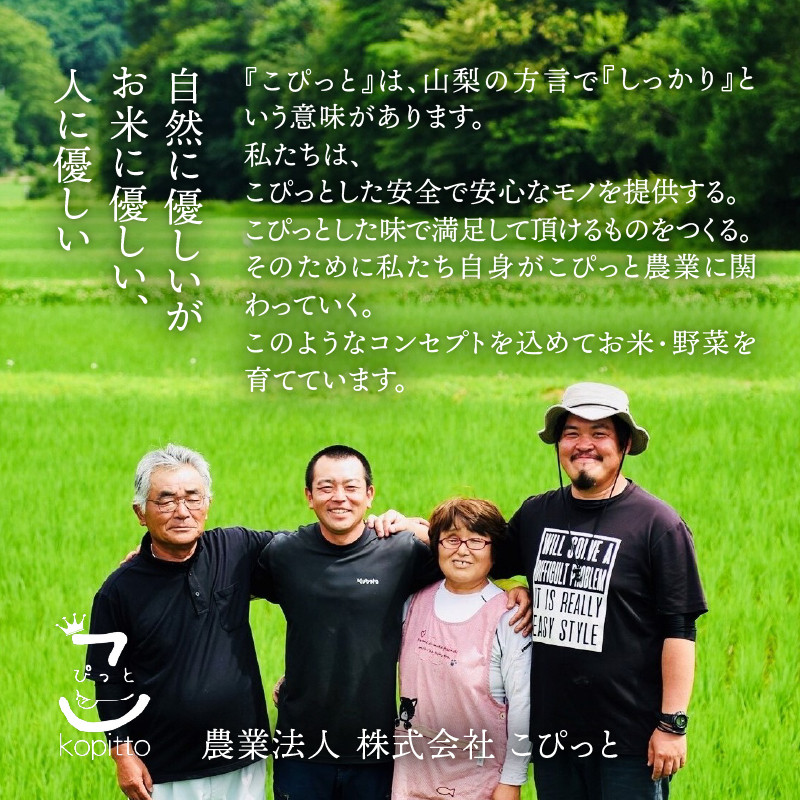 【米粉の玄米麺（麺のみ）】2食入×5袋　特別栽培『コシヒカリ』使用