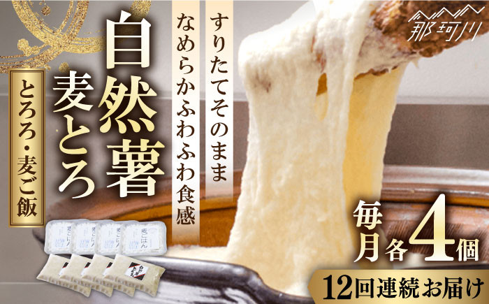 【全12回定期便】那珂川市産 自然薯 自然薯 麦とろ セット（4人前）＜自然薯王国＞那珂川市 自然薯とろろ とろろ 自然薯 [GAH011]