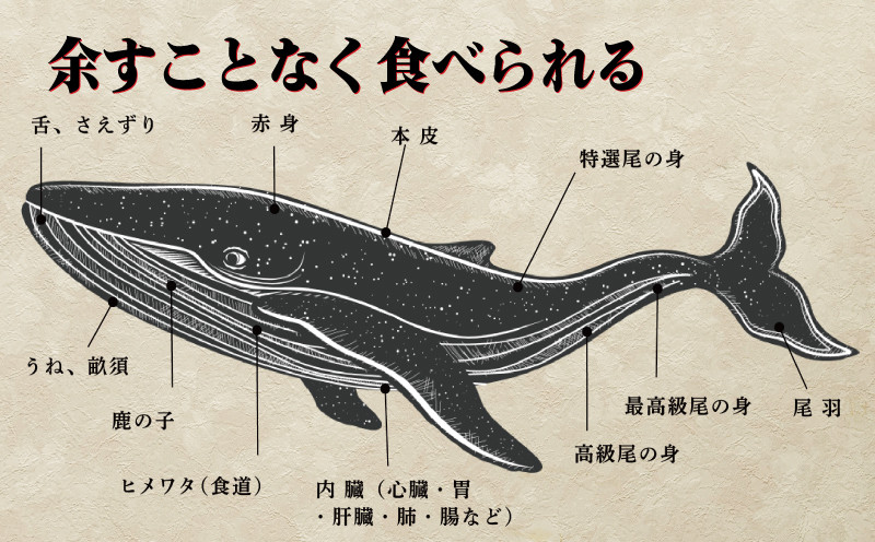 鯨 ( くじら ) 赤身 ブロック 500g 冷凍 高級 おつまみ 刺身 刺し身 ユッケ カツ 竜田揚げ 揚げ物 本場 いさな 鯨 赤身肉 ブロック肉 自宅 自宅用 お中元 お歳暮 小分け 美容 ダイエット 高たんぱく 下関鯨屋日新丸 下関 山口