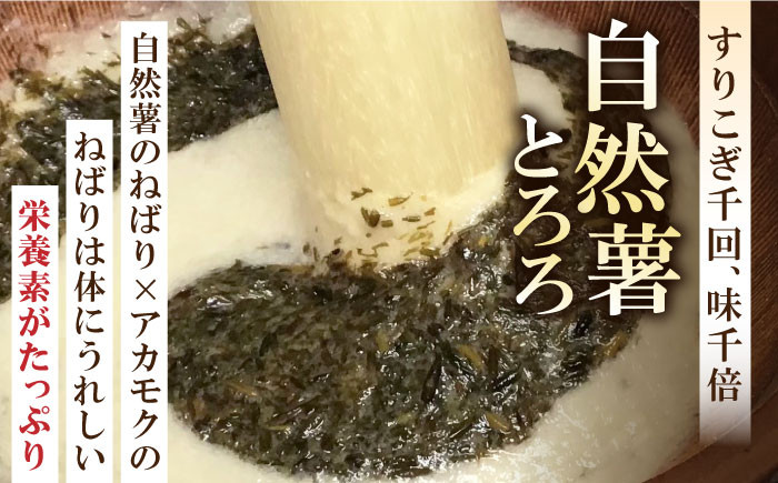 【全6回定期便】【磯の風味が香るふわふわとろろ】那珂川産 博多 自然薯 アカモク とろろ 60g×6個＜自然薯王国＞那珂川市 自然薯とろろ とろろ 自然薯 [GAH019]