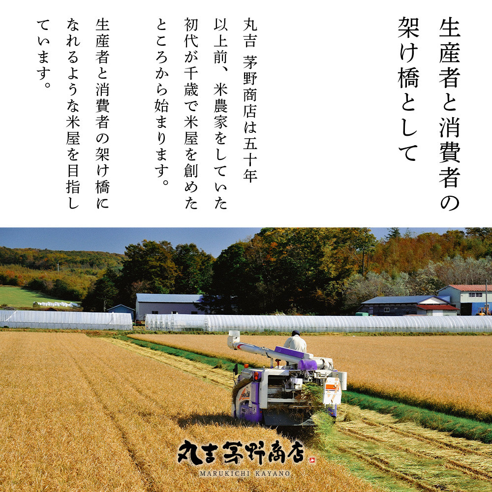 【7営業日以内発送】北海道産ゆきさやか 10kg(通常パック5kg×1袋、真空パック5kg×1袋) お米 千歳 北海道米