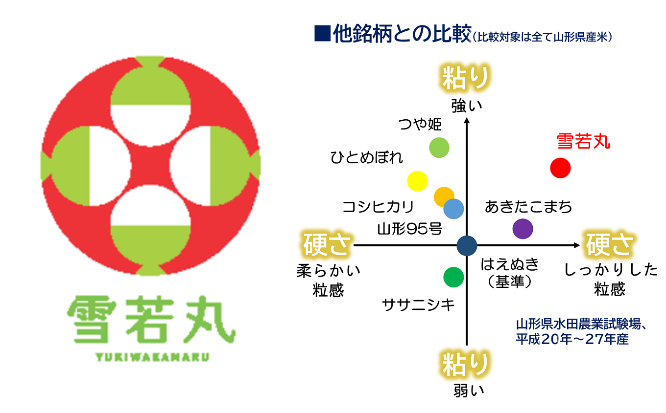 令和7年産 特別栽培米 雪若丸 (精米) 5kg 『最上園』 米 白米 ご飯 農家直送 山形県 南陽市 [1679]