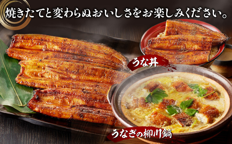 【宮崎県産】うなぎ備長炭手焼き蒲焼無頭4尾(600g) 冬うなぎ_M159-003