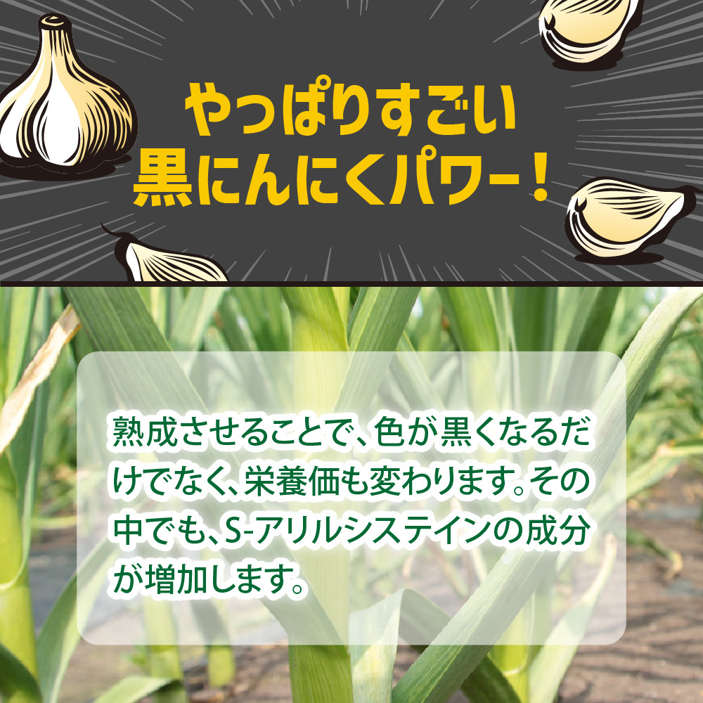 【訳あり】青森県産 黒にんにくバラ1kg(500g×2)