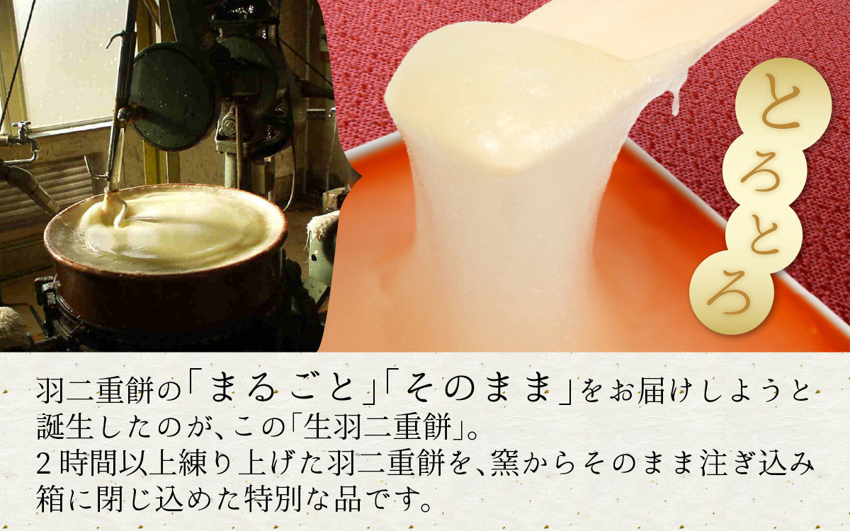 ミニ生羽二重餅 2種セット（しろ・京きなこ入り）[A-011005] / 菓子 きなこ 羽二重餅 はぶたえもち 福井名物 スイーツ 羽二重餅セット 羽二重餅詰合せ 餅 もち 福井 永平寺 マエダセイカ はぶたえ 羽二重餅 羽二重 和菓子 生菓子 ギフト プレゼント あさいち