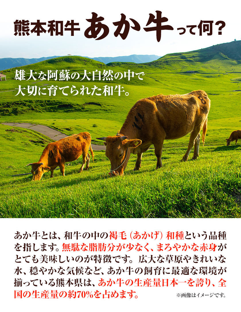 肉 和牛 あか牛カルビ焼肉用400g(あか牛のたれ付き)たれ 200ml 道の駅竜北《60日以内に出荷予定(土日祝除く)》 熊本県 氷川町 あか牛 あかうし