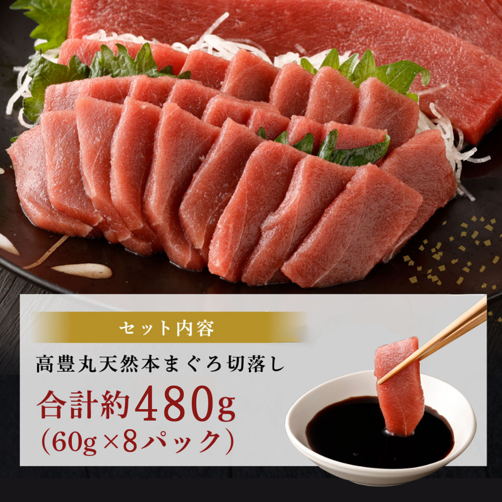 天然本まぐろ 赤身 切落し お手軽 ちょこっとパック 60g×8パック 合計480g 食べきりサイズ 切り落とし お刺身 魚介類 海鮮 小分け 魚 海産物 魚貝 マグロ 父の日 高知県 簡単解凍 簡単調理 惣菜 冷凍