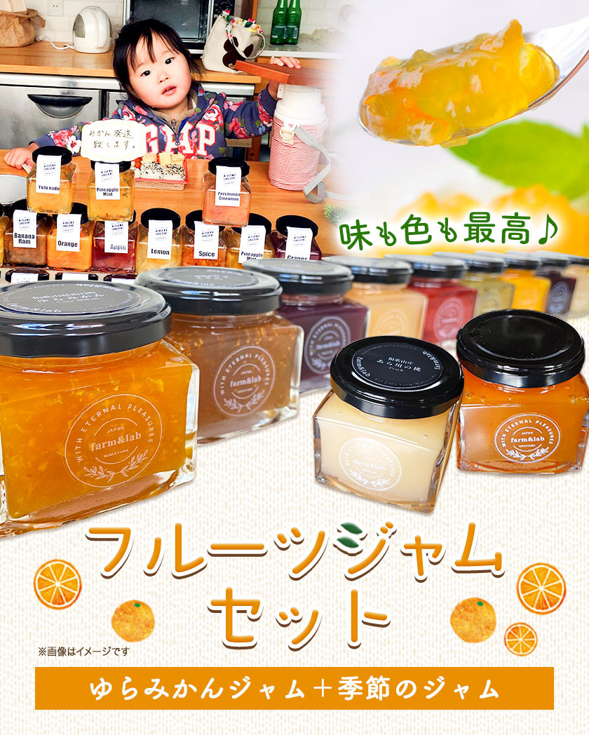 フルーツジャム セット 4個  Farm＆lab 《30日以内に発送予定(土日祝除く)》和歌山県 日高町 みかん ジャム フルーツ セット みかんジャム 桃ジャム いちごジャム ブルーベリージャム ブドウジャム りんごジャム