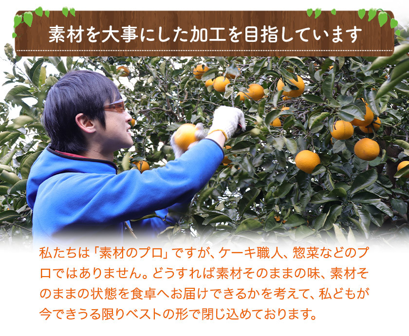 フルーツジャム セット 4個  Farm＆lab 《30日以内に発送予定(土日祝除く)》和歌山県 日高町 みかん ジャム フルーツ セット みかんジャム 桃ジャム いちごジャム ブルーベリージャム ブドウジャム りんごジャム