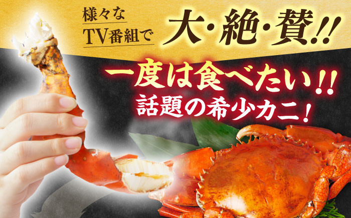 【幻の蟹】 浦戸湾産 エガ二 1キロ前後 / カニ かに 蟹 えがに 高知県 高知市 高知 浦戸 海鮮 海産物 甲殻類 1㎏ 1キロ 希少 贅沢 おつまみ 晩酌 鍋 【土佐の廣丸】 [ATAL001]
