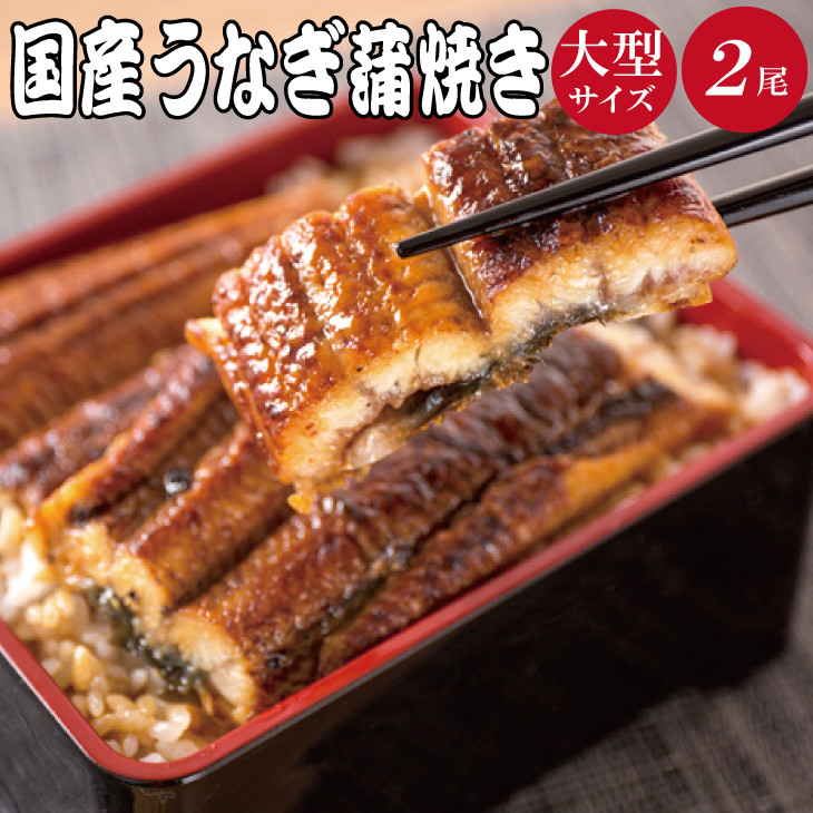 【全3回】まぐろ・うなぎ・和牛を楽しむ贅沢定期便A / 鮪 マグロ 刺身 鰻 ウナギ 蒲焼 熊野牛 肉 牛肉 和牛 黒毛和牛 ヒレ ロース シャトーブリアン ステーキ スライス【tkb386】