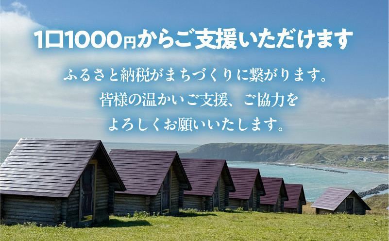 【返礼品なし】浜中町『きりたっぷ岬キャンプ場』2,000円 応援支援寄附_H0028-002