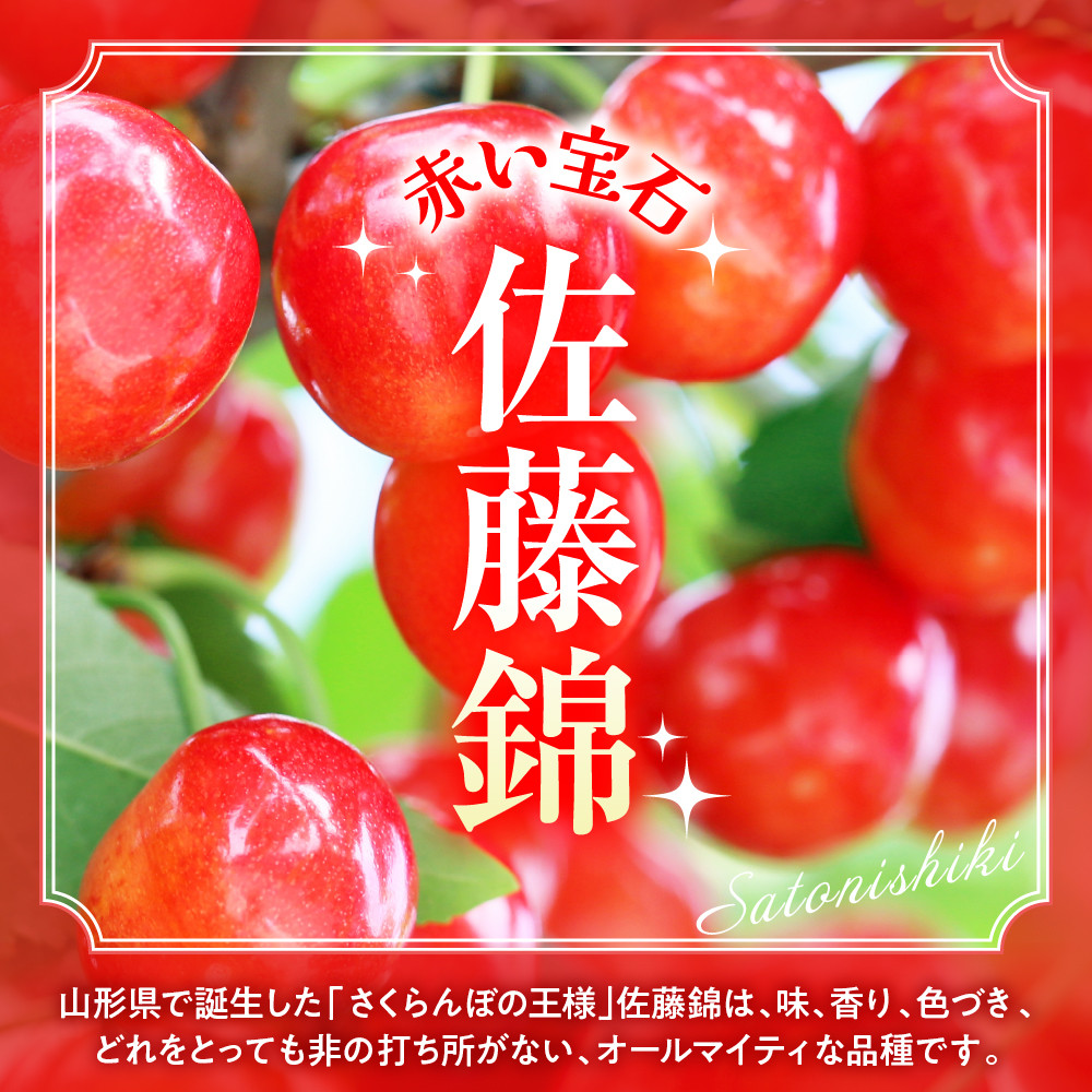 【2026年産 先行予約】真の桜桃 佐藤錦 超特秀 1kg 山形県 東根市 hi062-049