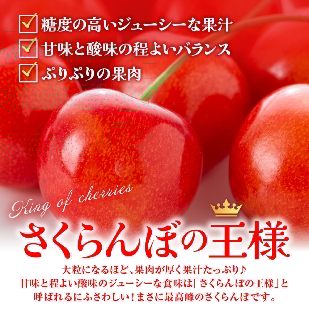 【2026年産 先行予約】真の桜桃 佐藤錦 超特秀 1kg 山形県 東根市 hi062-049