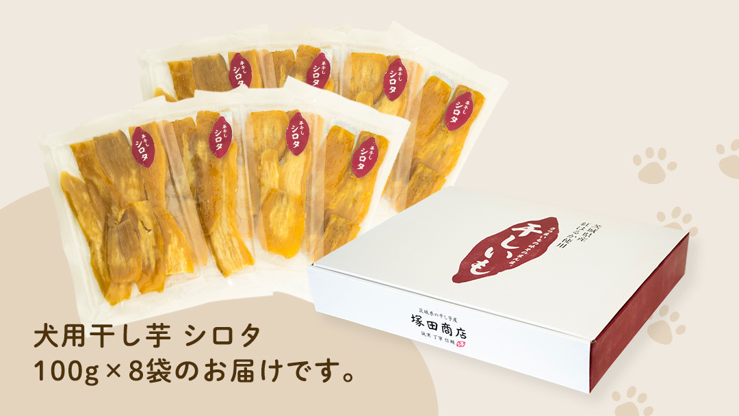 【 塚田商店 】 犬用 干し芋 シロタ 100g × 8袋 ドックフード ペットフード 犬 国産 無添加 さつまいも 芋 おやつ 和菓子 いも イモ 工場直送 マツコの知らない世界 スーパーツカダ [BD032ci]