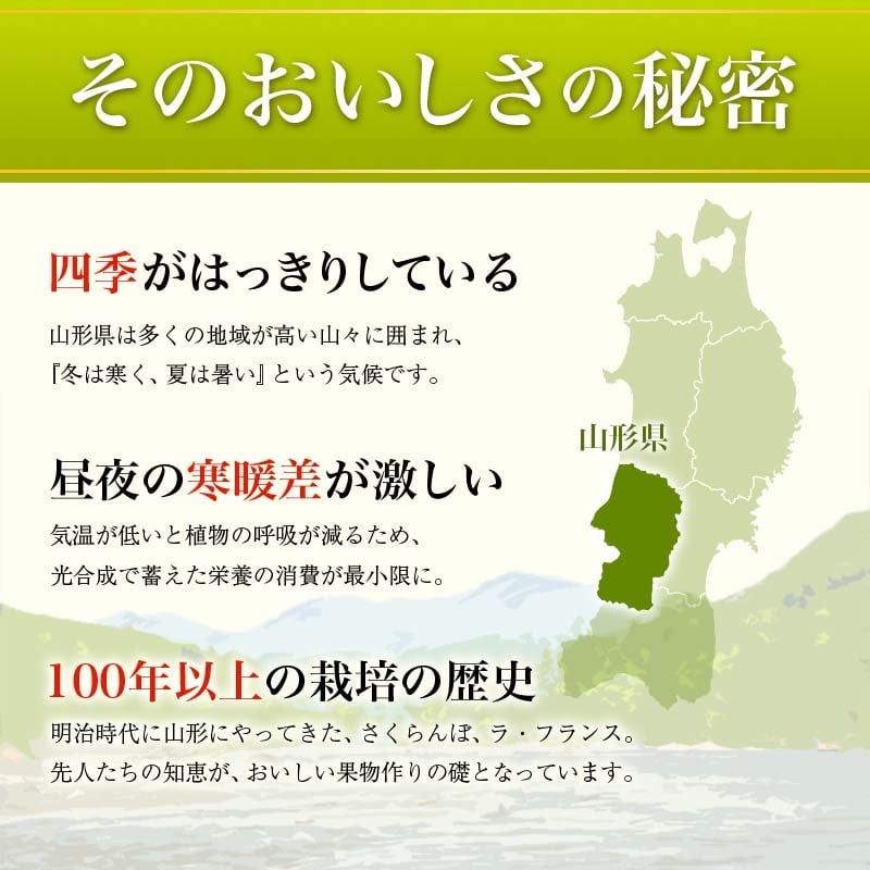 《2026年先行予約》 山形県 至高のフルーツ! 山形県旬のフルーツ定期便 全3回 FSY-2457