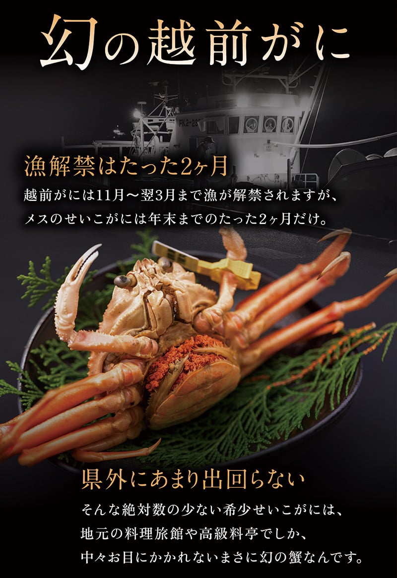 【冷蔵発送】【先行予約 9月10月限定】越前がに(メス)「せいこがに」 特大サイズ 220g前後 × 5杯
