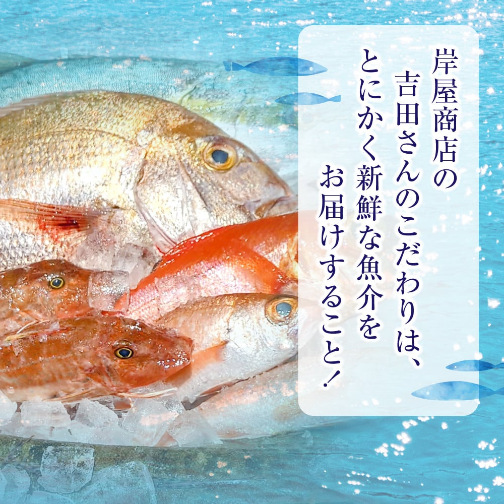 【下処理する】【厳選】三陸海の恵み詰め合わせ (目安：4～5人用)【 無添加 鮮魚 三陸産 国産 天然 海鮮 お刺身 魚介 魚介類 詰め合わせ セット 鮮魚BOX ボックス お祝い 宴会 時短 便利 簡単 お手軽 岩手 陸前高田市 産地直送 】RT842