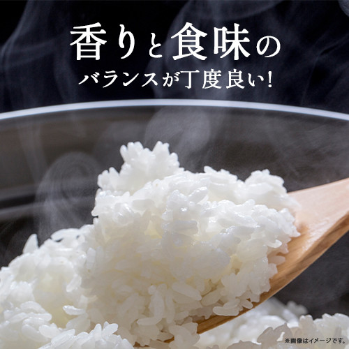 ◎令和7年産◎絶妙なバランスが大好評!井上米穀店の香るお米(十和錦)Bib-A04 米 こめ コメ 農家 こだわり お米 おこめ ブランド米 米処 香り米 ブレンド米