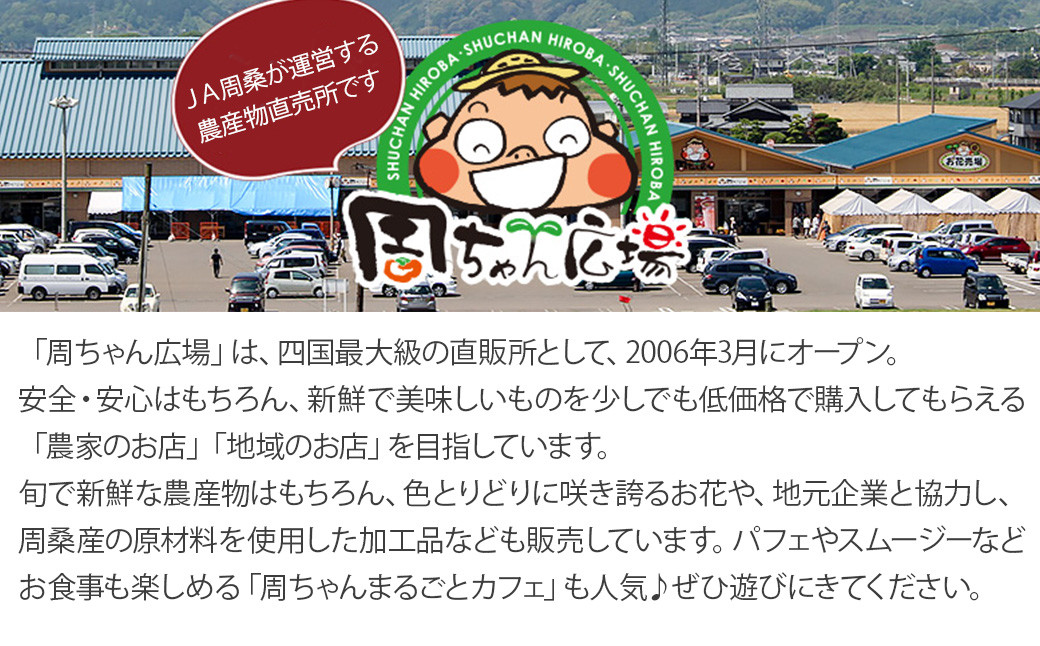 アイスクリーム アムスめろんアイスクリーム 16個　愛媛県西条市 周桑産メロン使用　スイーツ フルーツ 果物 アムスメロン アイス 周ちゃん広場 JA周桑