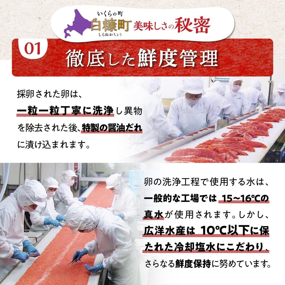 醤油漬鮭いくら 2.4kg(200g×2パック×6箱) いくら イクラ 小分け いくら醤油漬 鮭いくら 鮭イクラ イクラ醤油漬 いくら醤油漬け イクラ醤油漬け 鮭 鮭卵 ikura いくら醤油漬 醤油いくら 醤油イクラ 冷凍いくら 冷凍イクラ いくら北海道 イクラ北海道 醤油鮭いくら 醤油鮭イクラ 人気 ふるさとチョイス 大好評品 サイズ さけ 北海道 白糠町