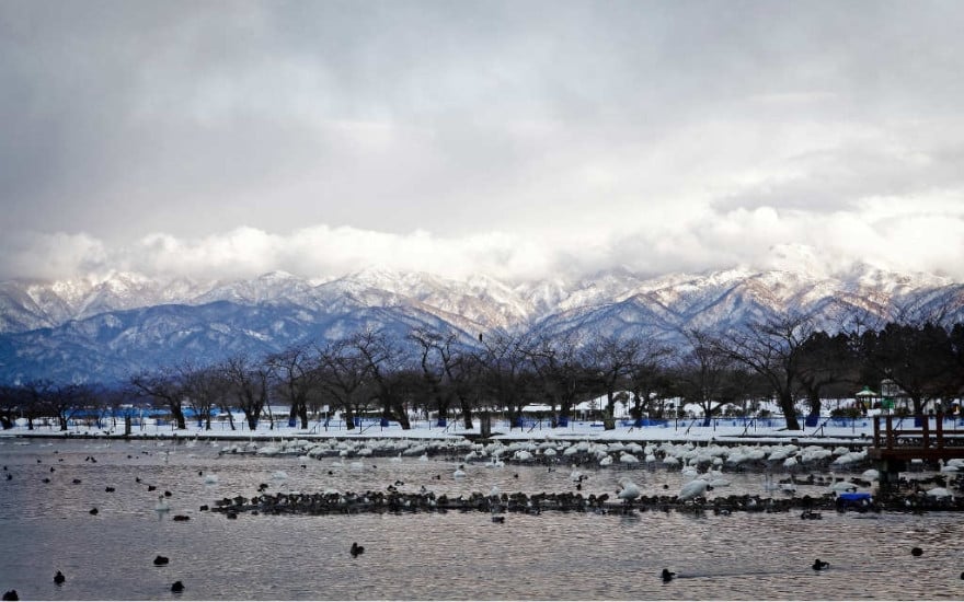 クルーネック セーター カシミヤ 100% ( ブラック・M ) レディース 日本製 | ニット クルーネックセーター 薄手 無地 シンプル 長袖 秋冬 冬 新潟県 五泉市 高橋ニット株式会社