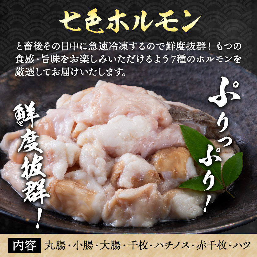 七色ホルモン もつ鍋セット 濃厚味噌味 15人前 1.5kg 株式会社中山家《30日以内に出荷予定(土日祝除く)》福岡県 鞍手郡 鞍手町 もつ鍋 ホルモン 丸腸 小腸 大腸 千枚 ハチノス 赤千枚 ハツ ちゃんぽん