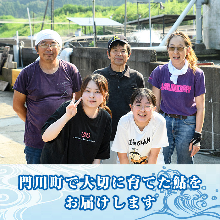 【北海道・離島配送不可】<先行予約受付中!2026年6~8月の間に発送予定>生若鮎(約1kg・12~16匹) 鮎 冷蔵 若鮎 生き〆 生きシメ 国産 門川町産 宮崎県産 塩焼き あゆ 川魚 養殖 香魚 期間限定 【ME-01】【米良水産】