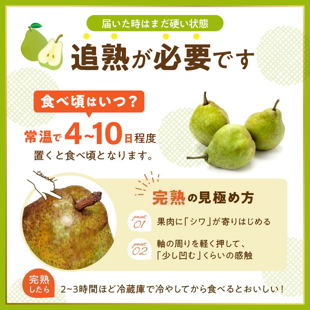 【2026年先行予約 6回 定期便】果樹王国を堪能コース 山形県 東根市 さくらんぼ もも プラム シャインマスカット ラ・フランス りんご hi999-045