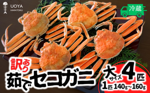 【数量限定】【訳あり 茹で セコガニ 大サイズ(140~160g)4匹 指落ち(1~2本)冷蔵】11月中旬以降順次発送 カニの本場 香住 濃厚なかにミソ やみつきになる内子 外子が絶品です 大人気 ふるさと納税 香美町 柴山 山陰 日本海 国産 カニ ズワイガニ 松葉ガニ せいこがに メスガニ  爪 ほぐし ボイル 脚 鮮度抜群 絶妙の塩加減 はらとく WKA SKG 16000円 56-12