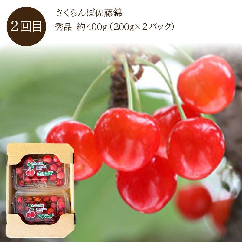 《先行予約》 やまがた果実しらべ便♪ 冬から秋までの満足な量♪ 4回定期便 りんご さくらんぼ 桃 シャインマスカット FSY-2301