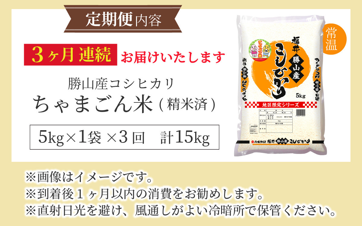 【令和7年産 新米】【定期便3回】勝山のお米 コシヒカリ 精米 5kg（計15kg） [E-010034]