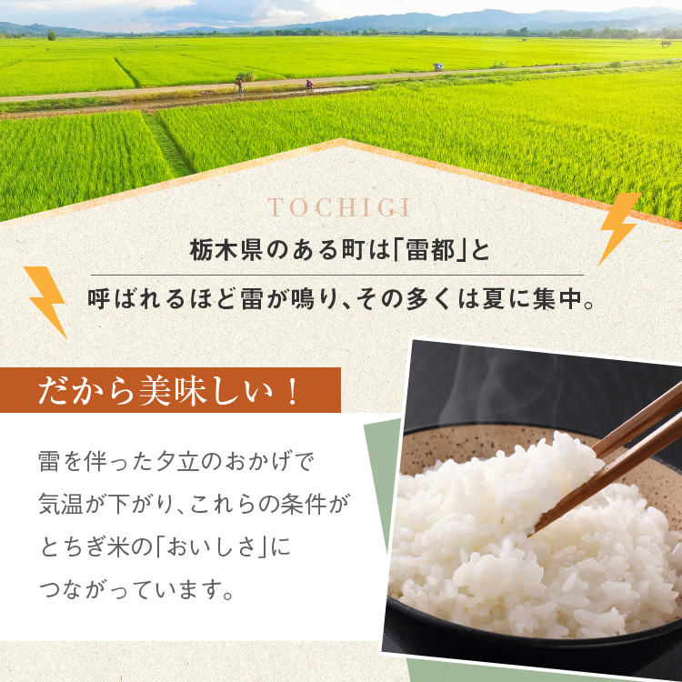 【栃木県共通返礼品】【12月発送】【数量限定】令和7年度新米 栃木県産ミルキークイーン(玄米真空パック) 2kg  | 玄米 精米 お米 コメ ミルキークイーン 先行予約 ブランド米 栃木県 特産品  下野市 送料無料