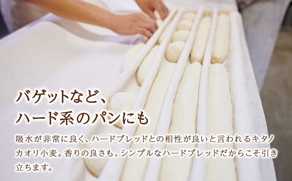 キタノカオリブレンド 250g