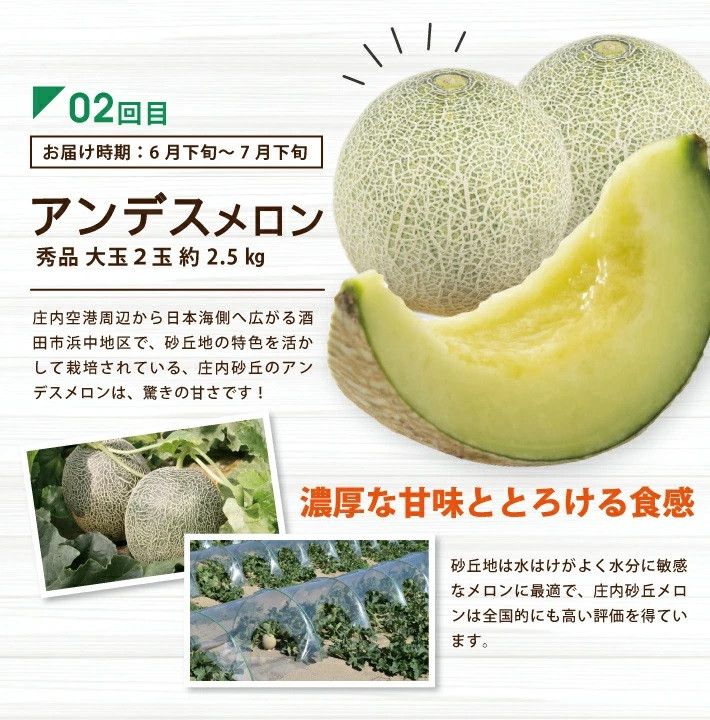 【5回定期便】 酒田の実り定期便 2026 6月中旬~7月上旬 小玉すいか 6月下旬~7月下旬 アンデスメロン 8月下旬~10月中旬 刈屋梨 10月中旬~11月中旬 庄内柿 11月上旬~12月中旬 ラ・フランス ※着日指定不可 定期便 果物 くだもの フルーツ 元青果 SF0302